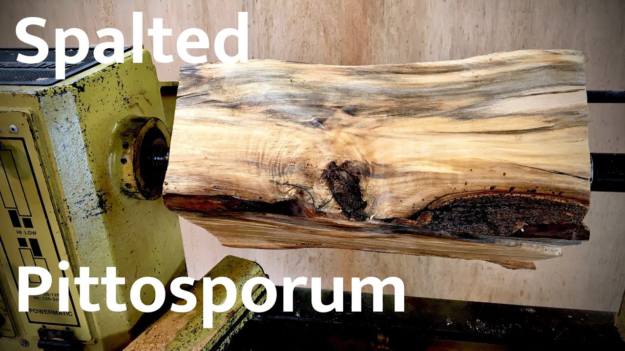 Woodturning-Spalted Pittosporum container with Lid