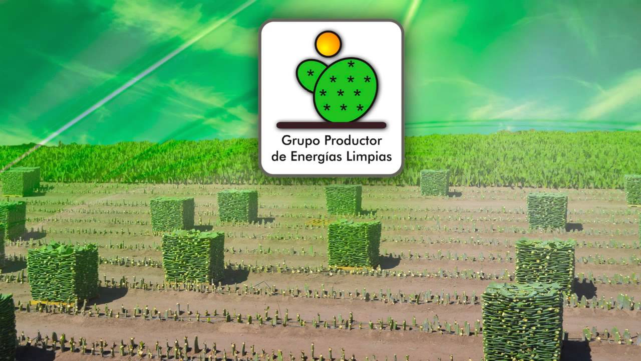 BIOMASA DEL NOPAL