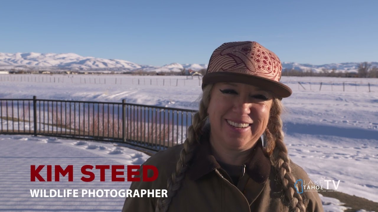 VISIT CARSON VALLEY 2023 - KIM STEED (WILDLIFE PHOTOGRAPHER)