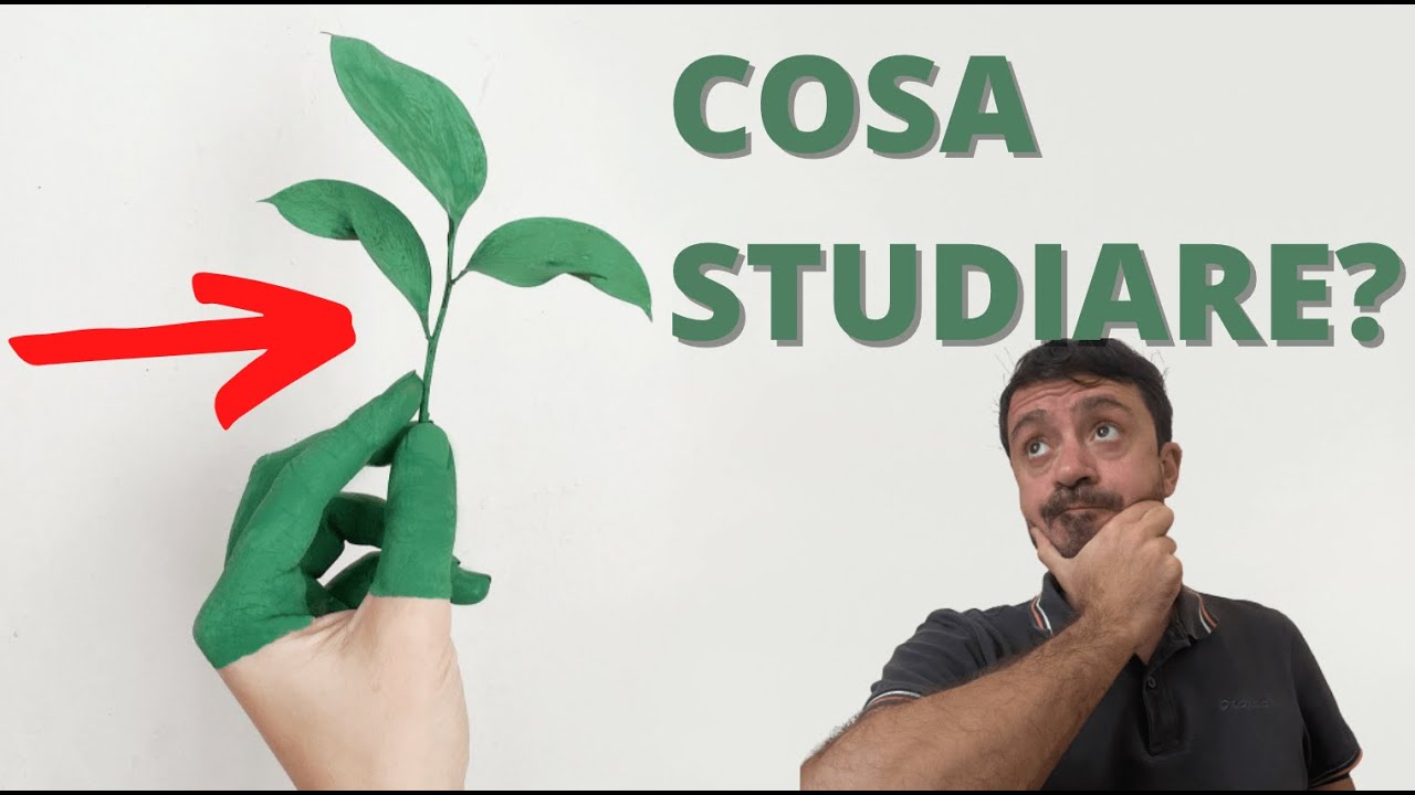 Lavorare nella tutela ambientale, cosa studiare? 📚
