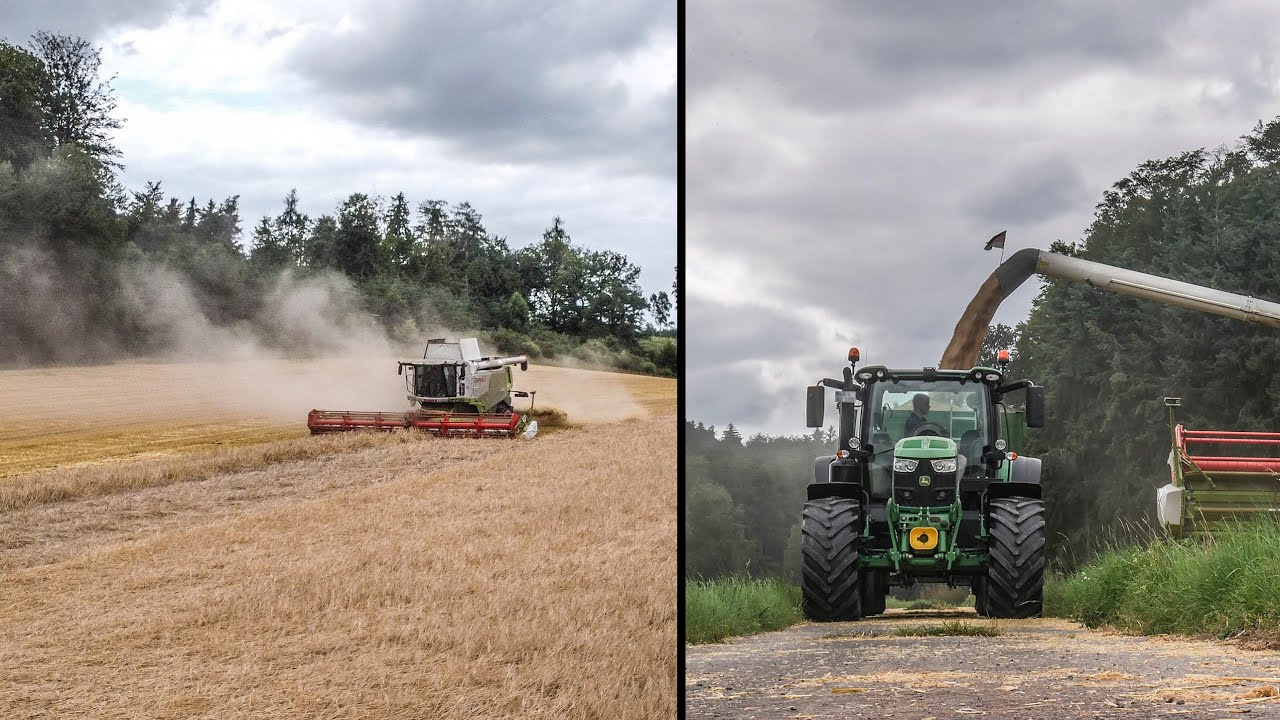 LEXION 760 Terra Trac! | 3x John Deere 6R | Domäne Waldeck Wintergerstenernte | 2021