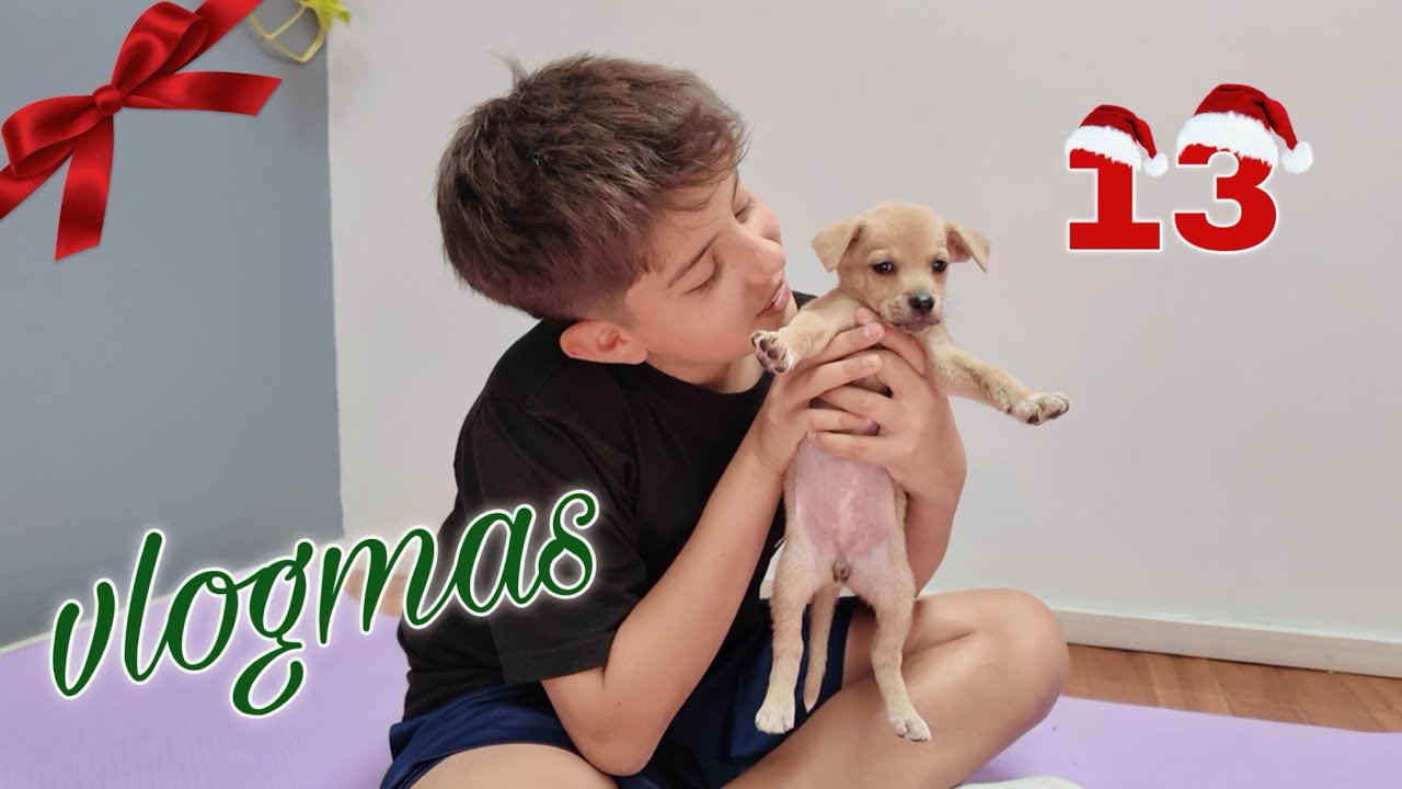 hicimos yoga con cachorros | día 13🎄
