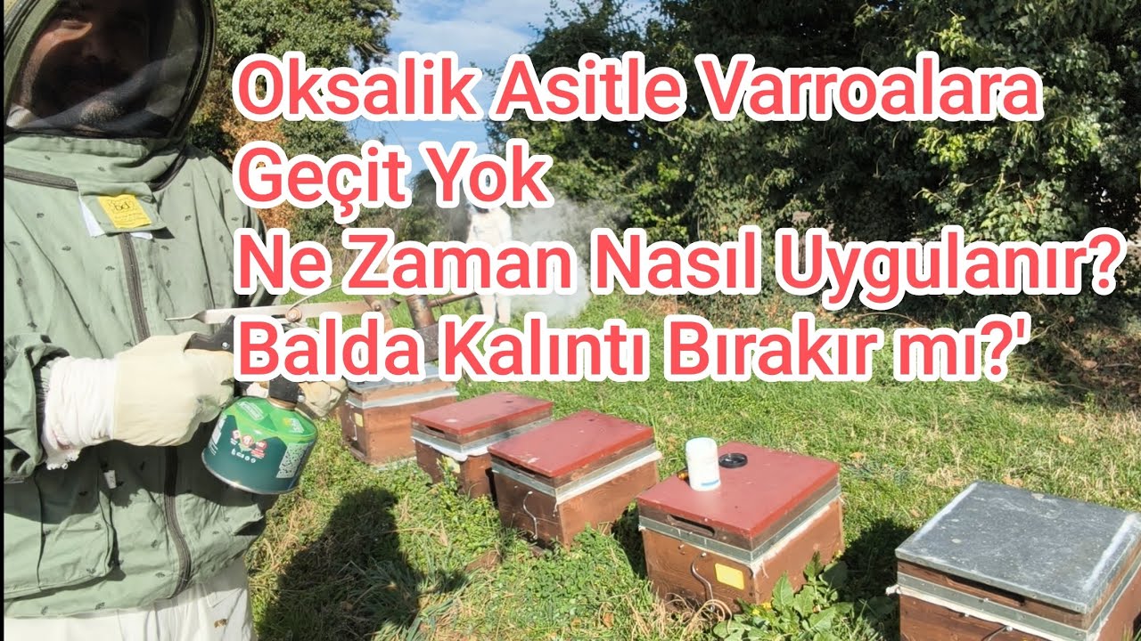 Oksalik Asit Uygulama Tüm Detaylar