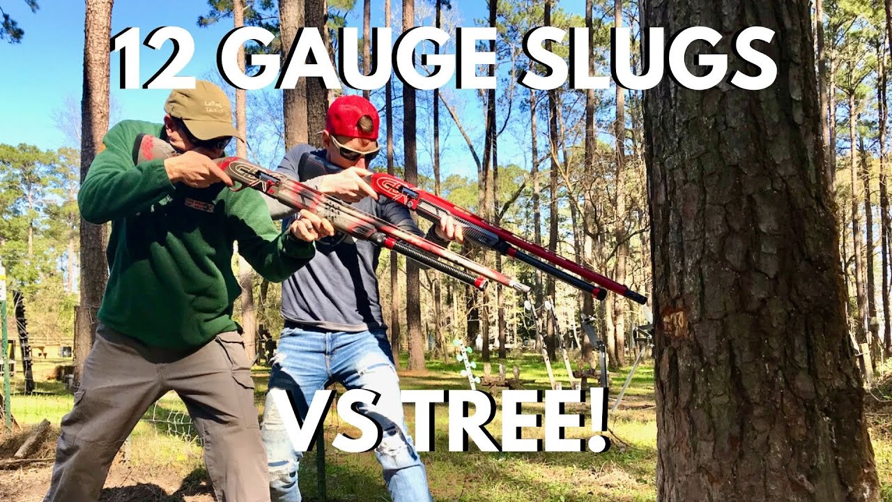 Shotgun Slugs VS HUGE TREE!  with Steve Gould