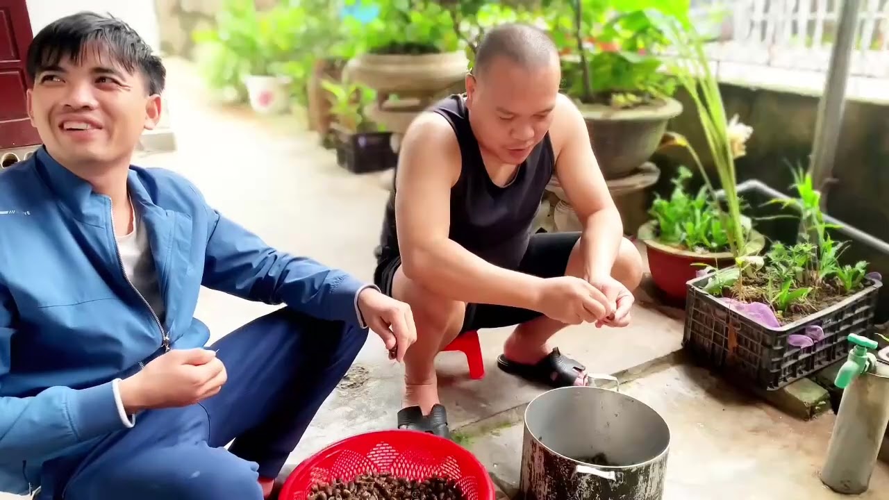 Món ốc nấu chuối đậu .Mời cả nhà cùng thưởng thức