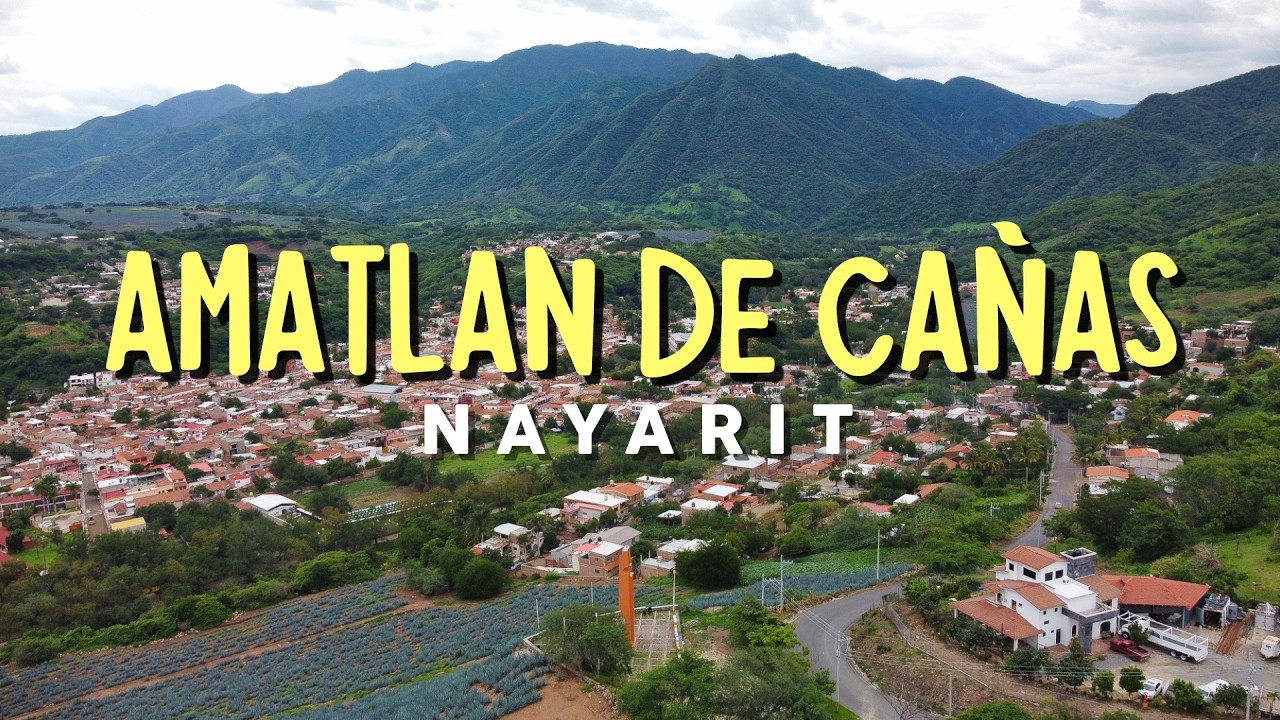 Entre pajaretes y aguas termales!! 🐮💦 Amatlán de Cañas Nayarit