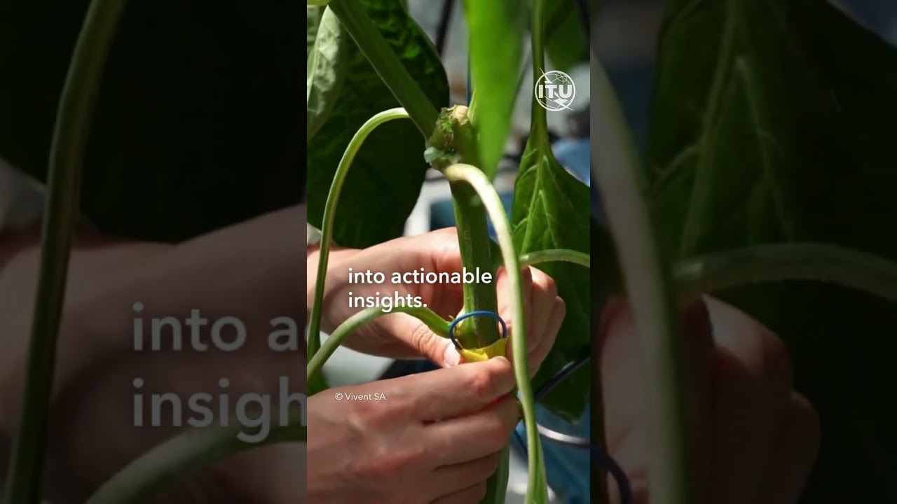 🌱 Discover Vivent Biosignals at the #AIforGood Global Summit, 7&ndash;10 July in Geneva.