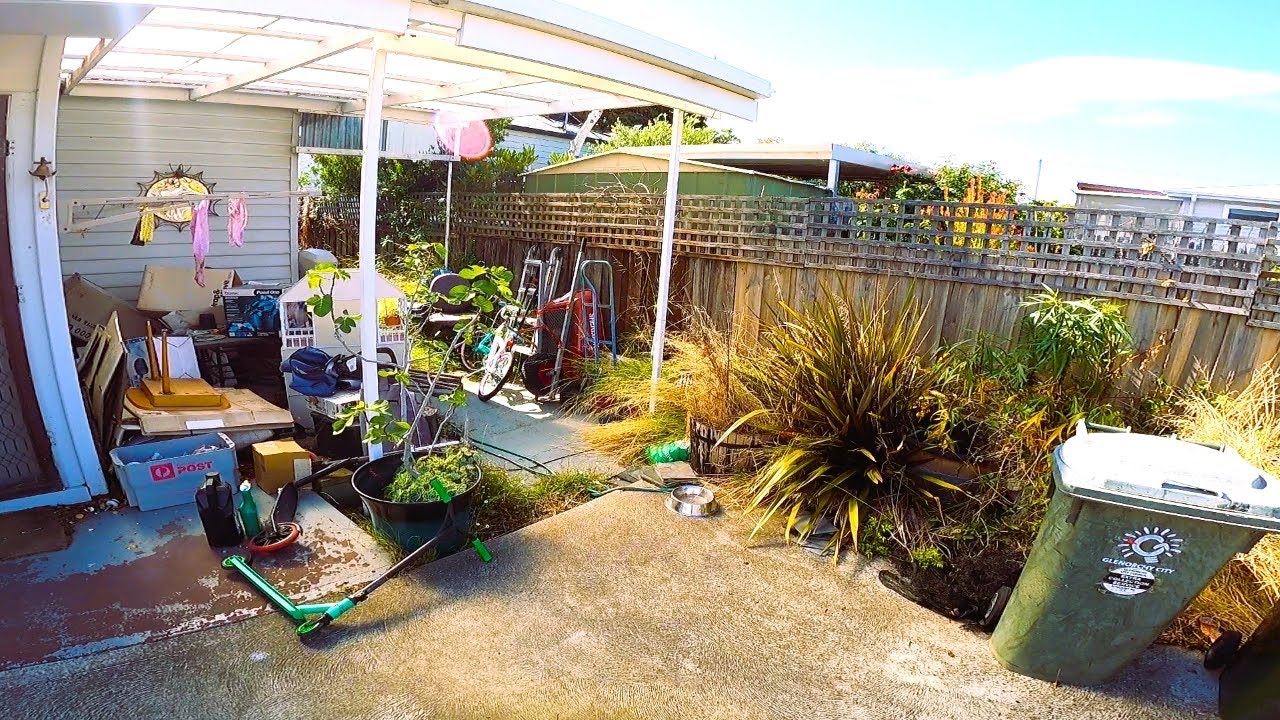 This Yard was NEGLECTED for YEARS: We Fixed it in a DAY!
