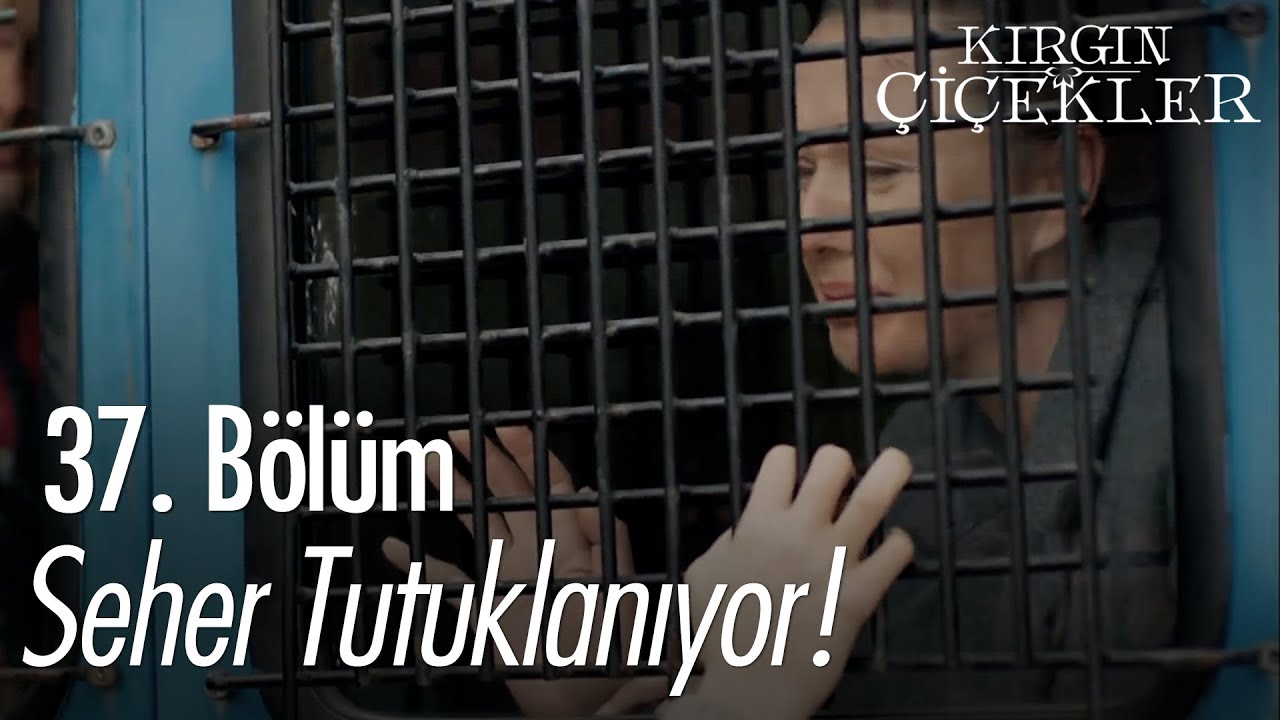 Meral'in annesi tutuklanıyor - Kırgın Çiçekler 37. Bölüm