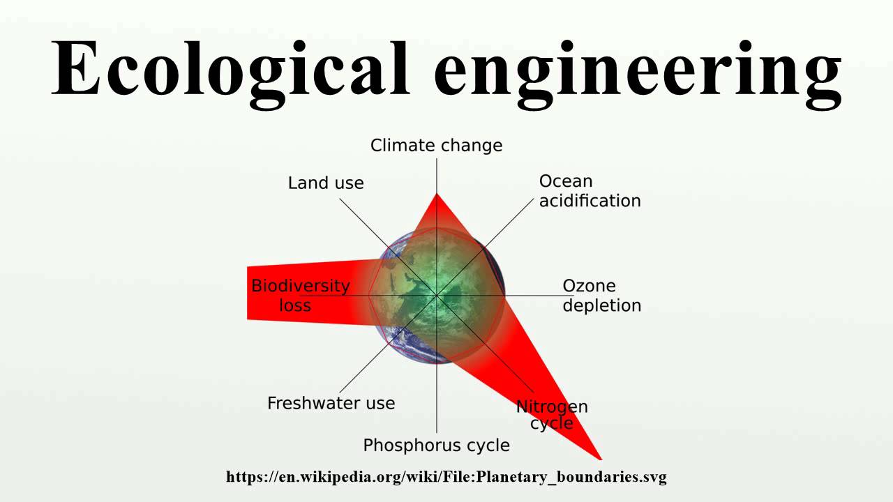 Ecological engineering