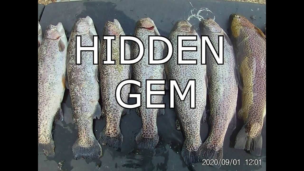 TROUT FISHING AT HIDDEN GEM. IN BLUE RIDGE VA NEAR ROANOKE!!