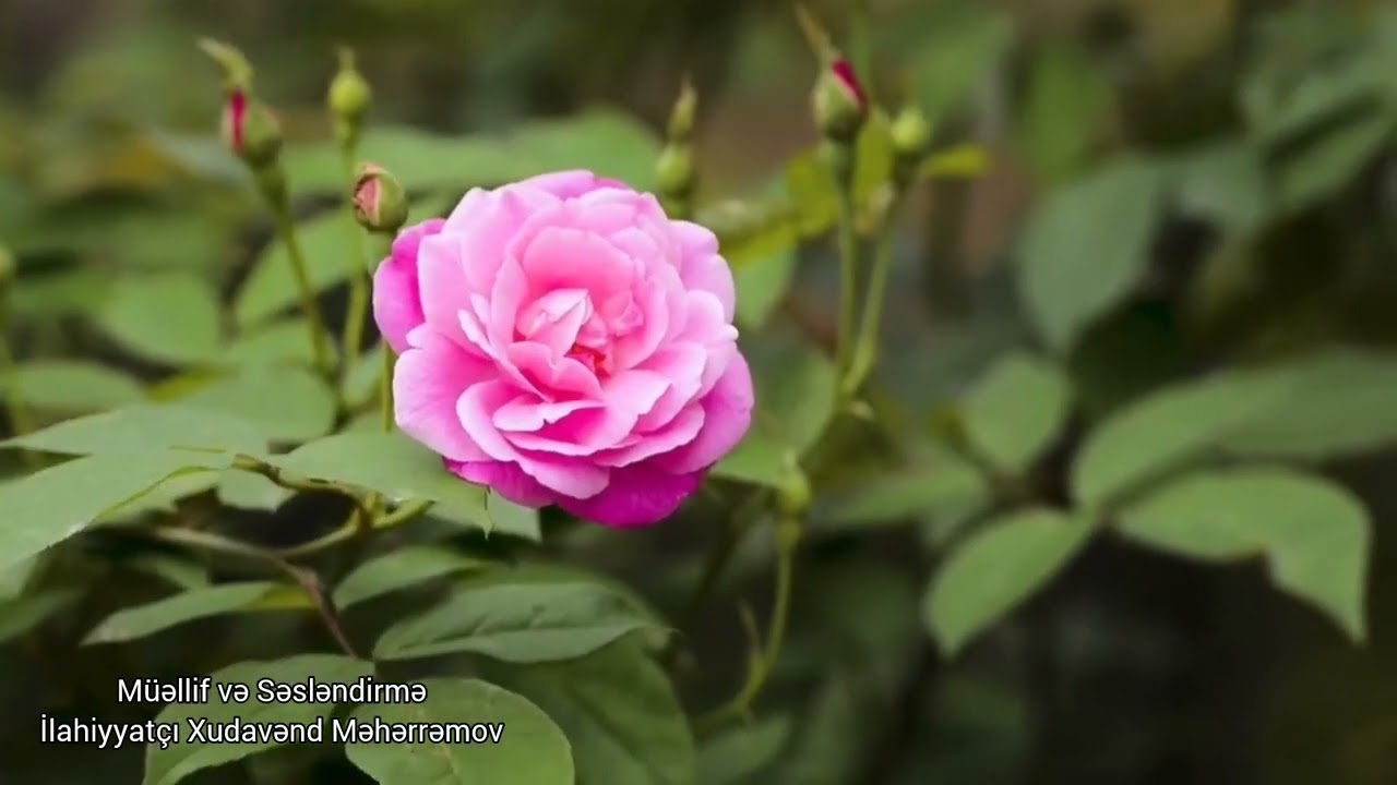 Tövbə-1 #keşfet#tevbe#tövbe 