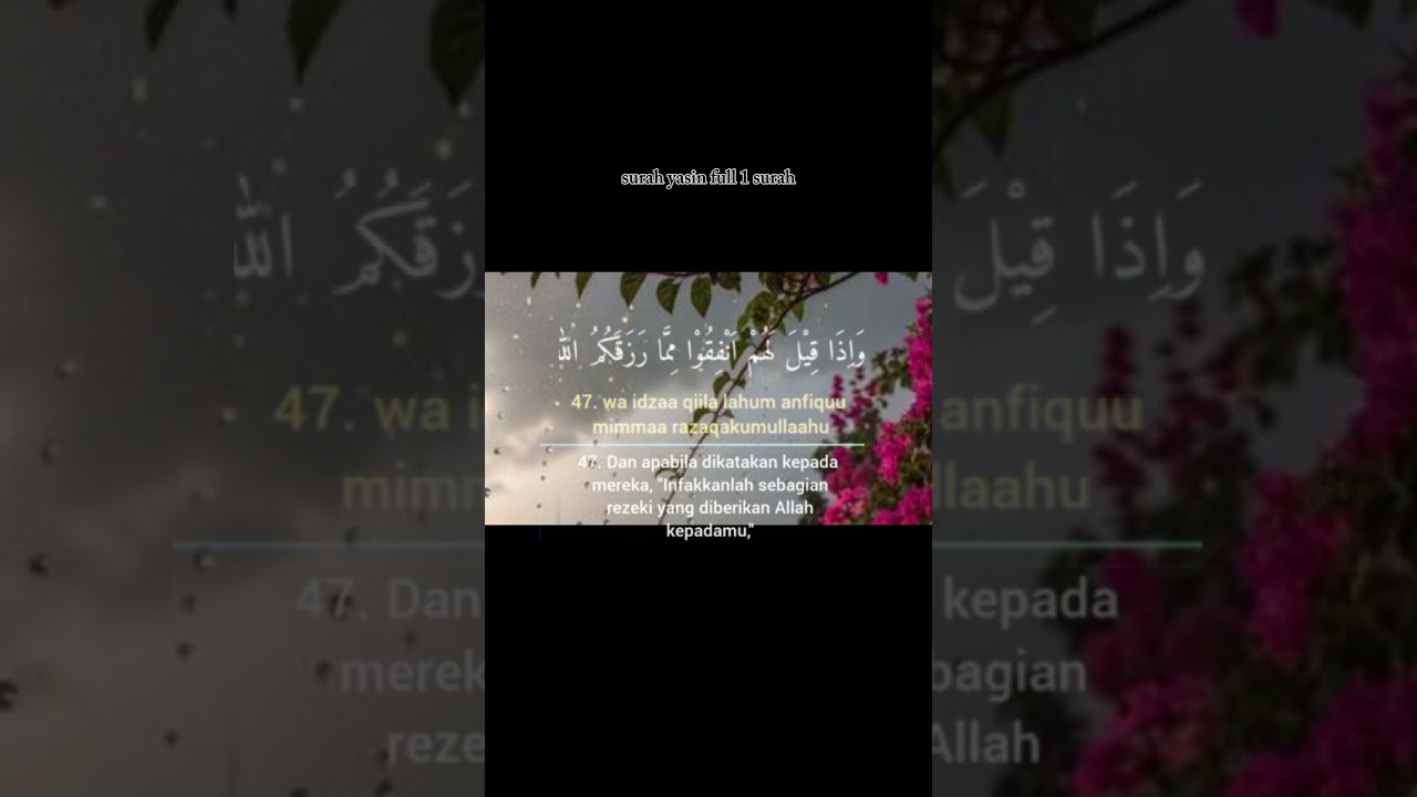 Quran heart ❤️💗#quran #islamicvideo #viralvideo #surah 