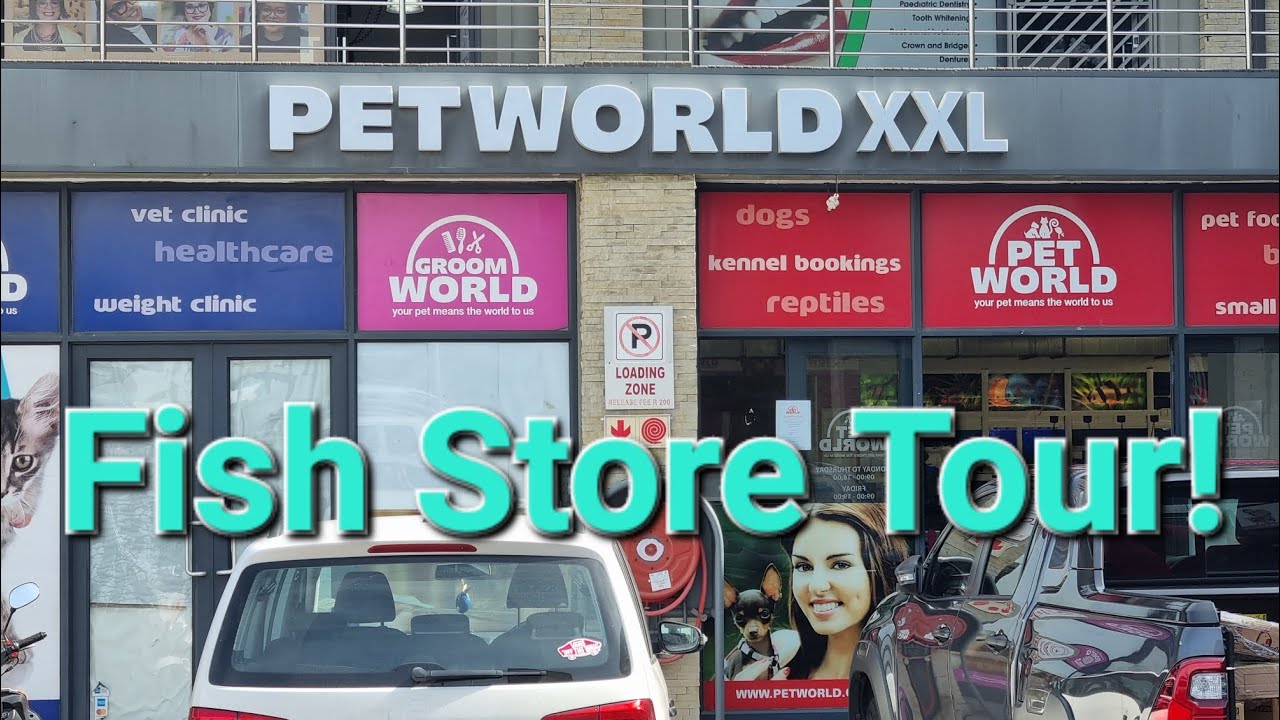 Pet World XXL - N1 City, Cape Town