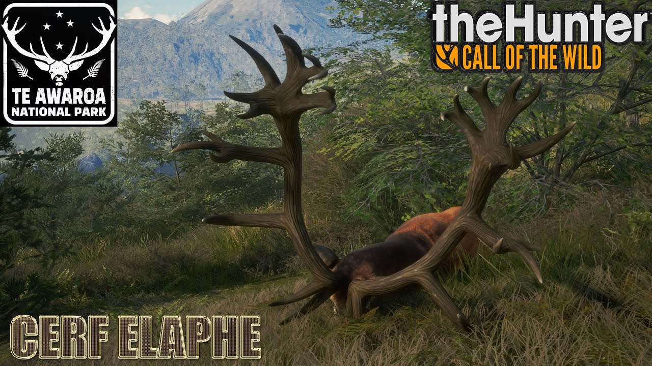 THEHUNTER COTW #130 CERF ELAPHE  ! TE AWAROA NATIONAL PARK