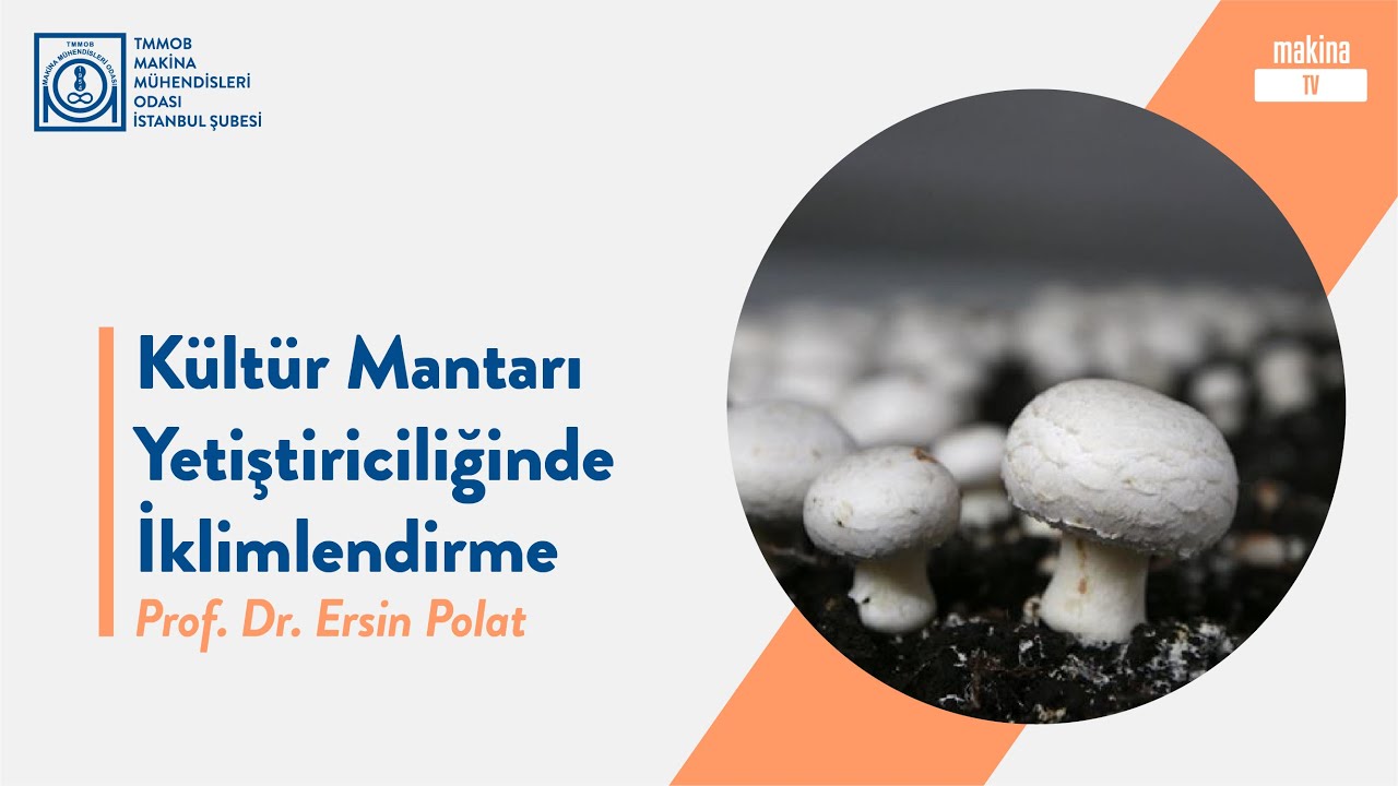 Kültür Mantarı Yetiştiriciliğinde İklimlendirme