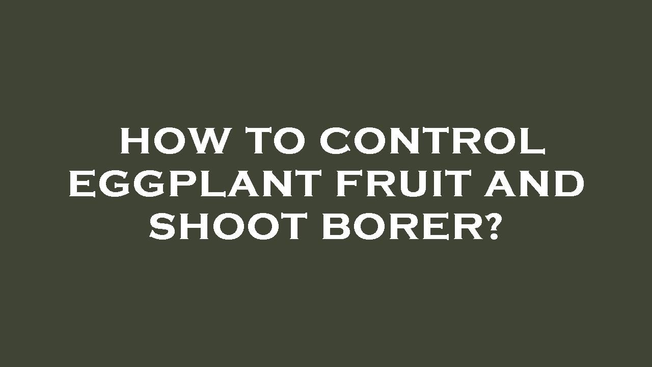 How to control eggplant fruit and shoot borer?