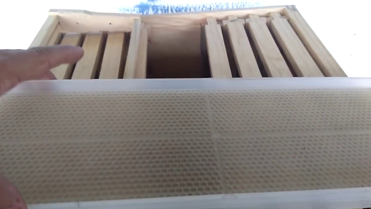 Apicultura, quadro de melgueira de plástico,🐝 dispensa o uso de cera alveolada 🌼