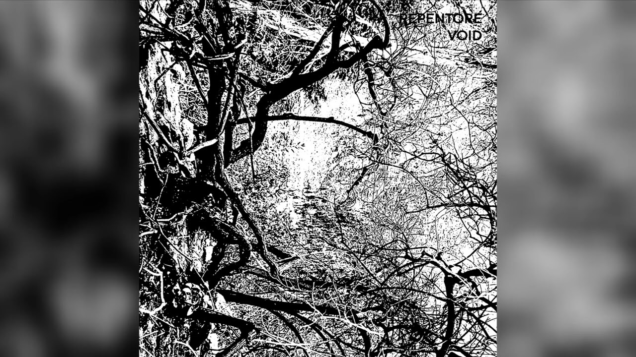 REPENTORE - Void