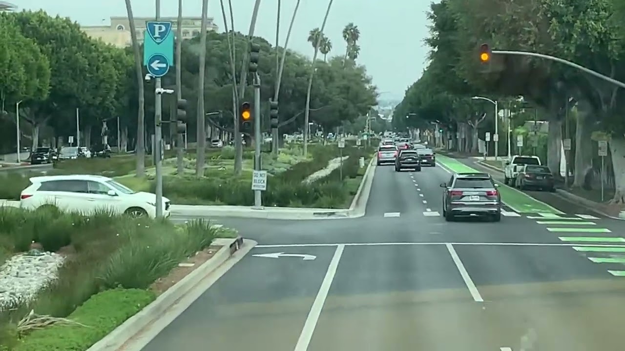 43. Beverly Hill of California
