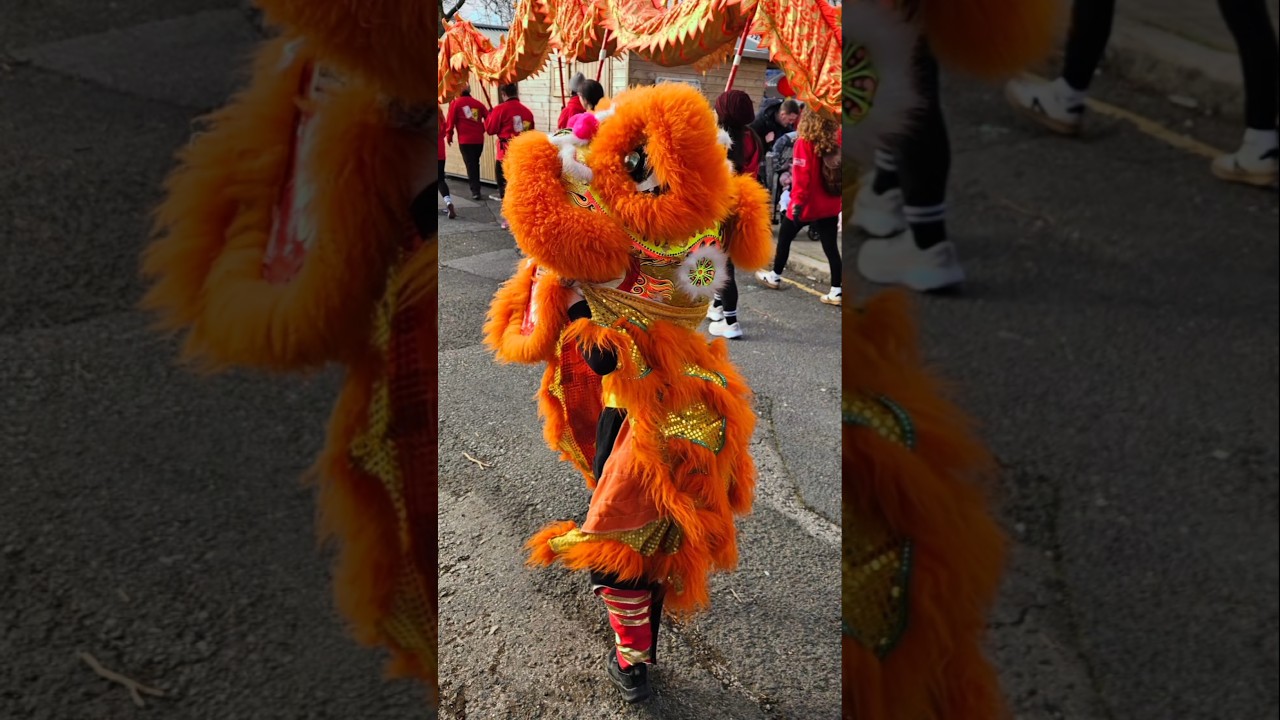 Celebration of the Lunar Year 2025. #lunaryear #ChineseNewYear #yearofthesnake