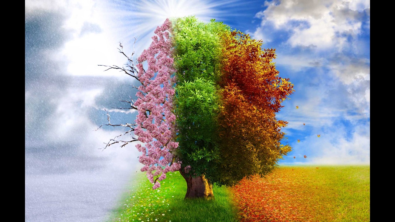 Blessings In Every Season