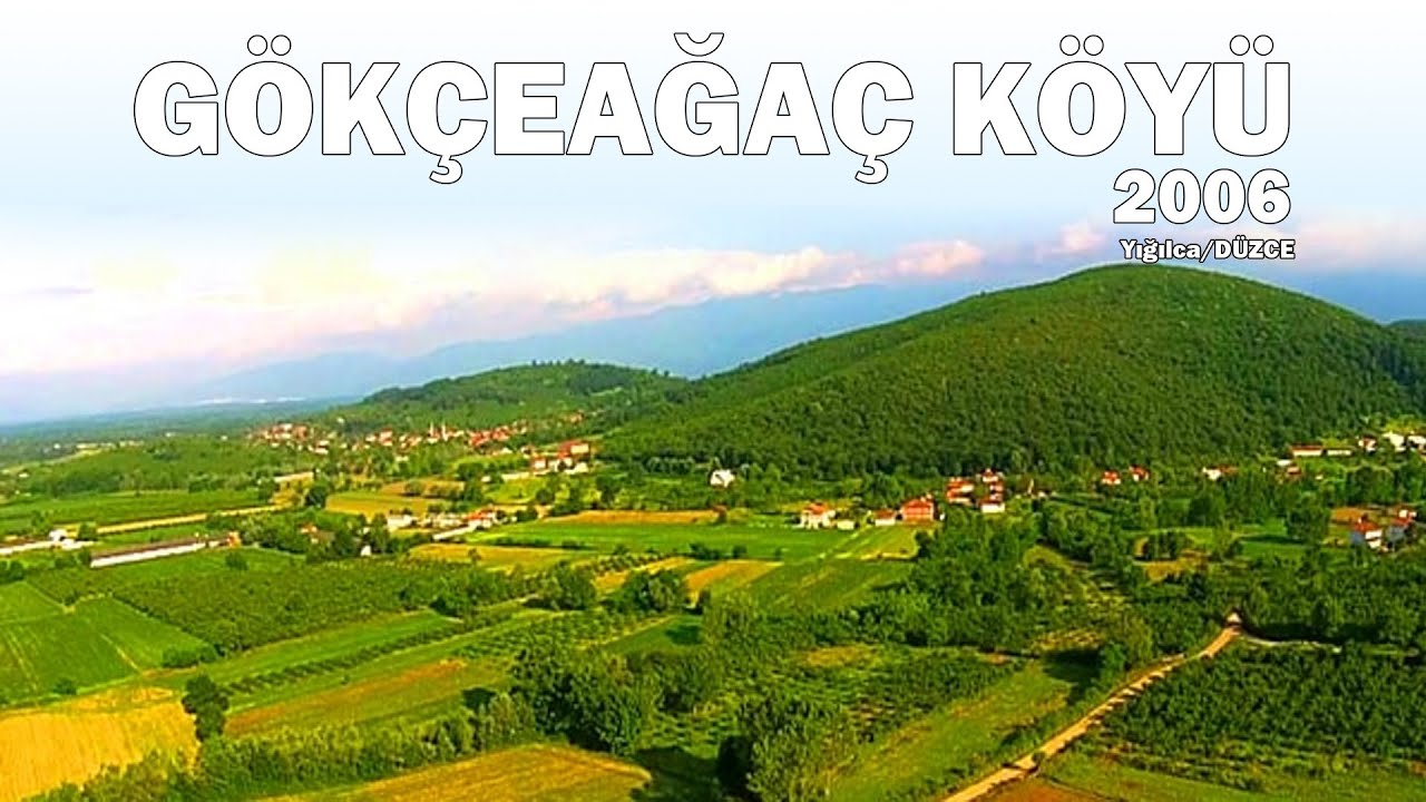 Gökçeağaç Köyü / Yığılca / Düzce (2006)