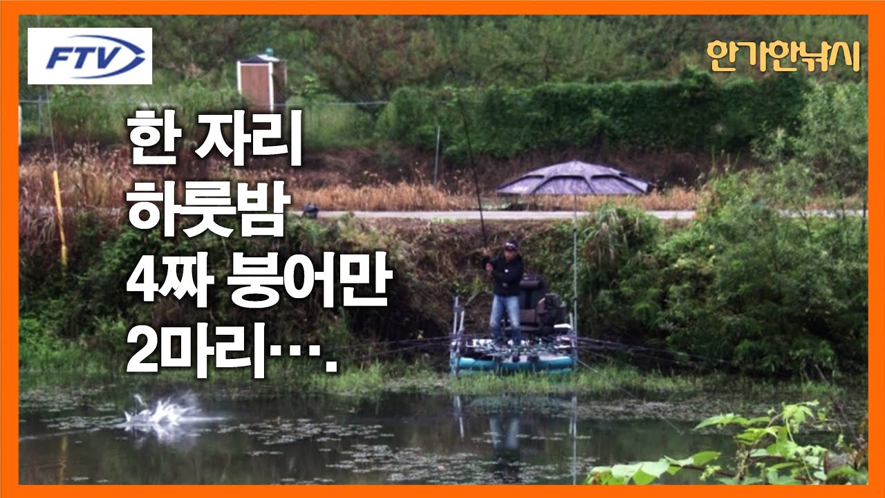 [FTV 한가한낚시] 붕어낚시 4짜만 두 마리 - 한 포인트 하룻밤에서 시원한 손맛 - 지금은 대물 적기 시즌