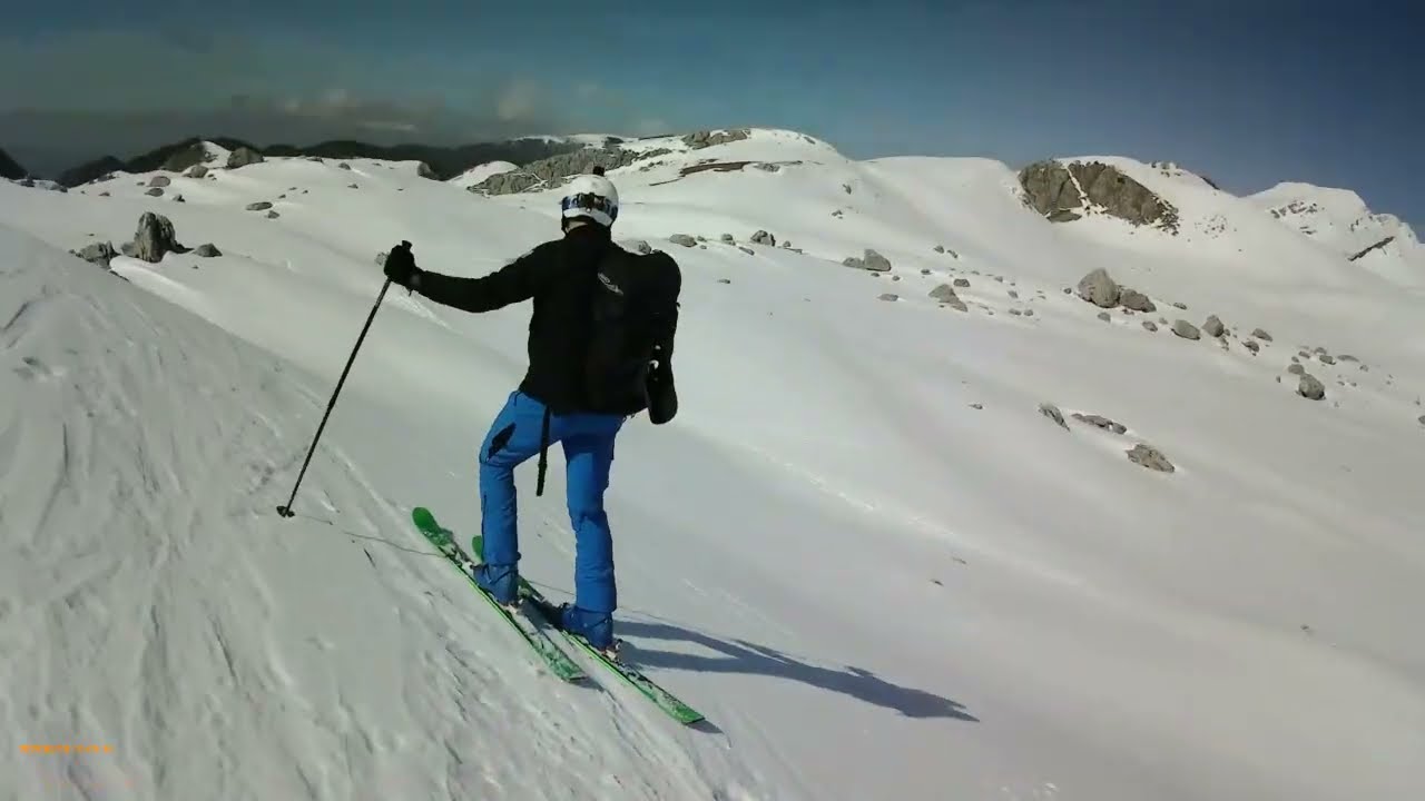 Altro 2000 ,N9  Forcellone