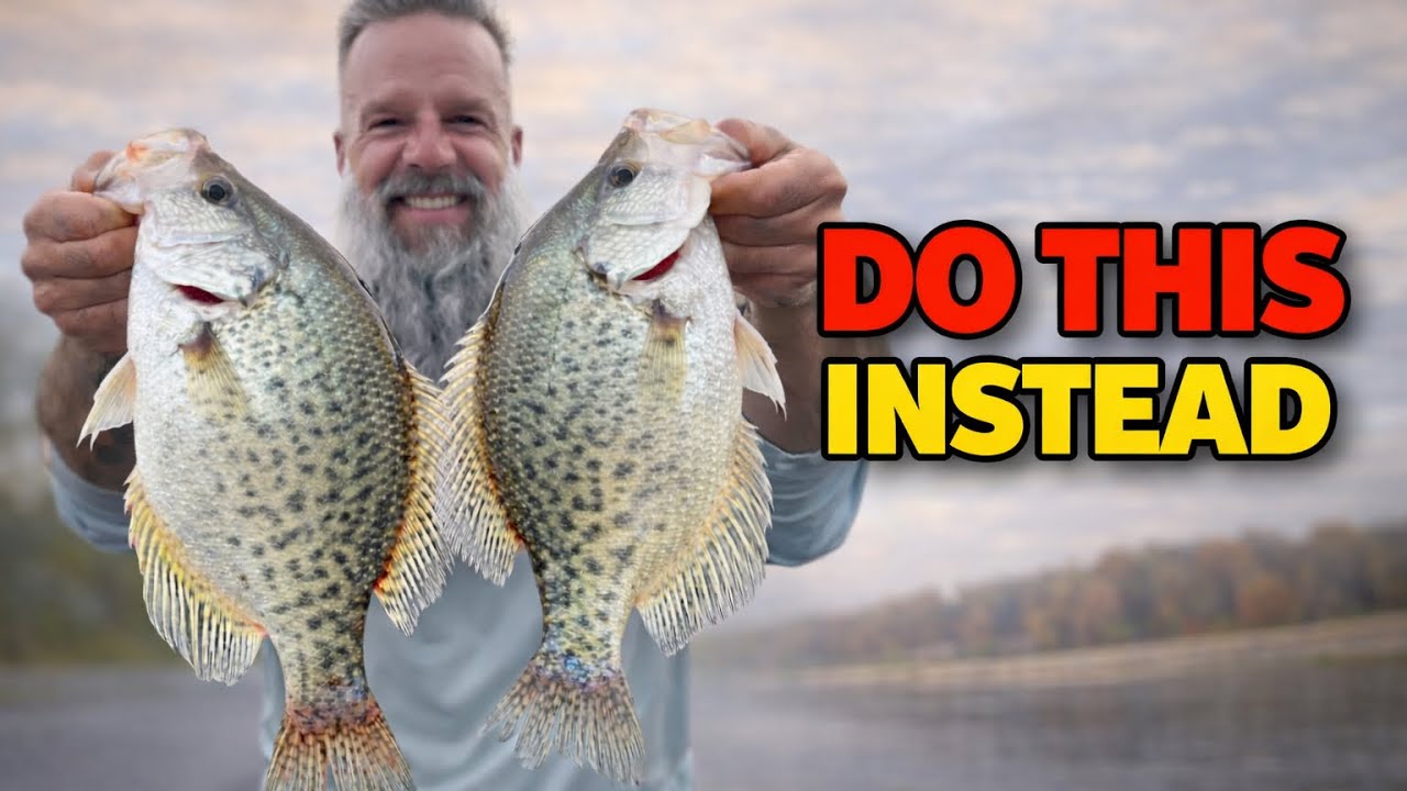 How to Catch More Crappie Every Time You Fish