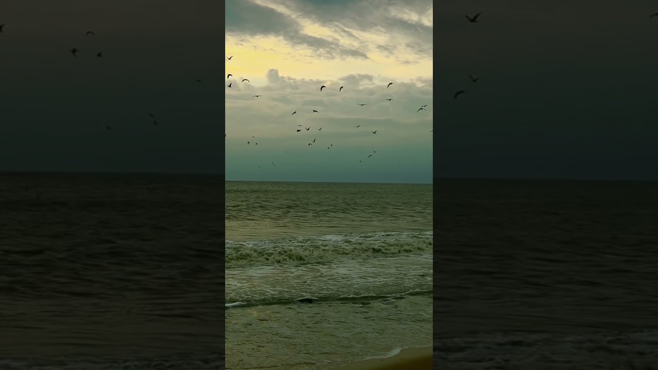 പ്രിയപ്പെട്ടവളെ❣️