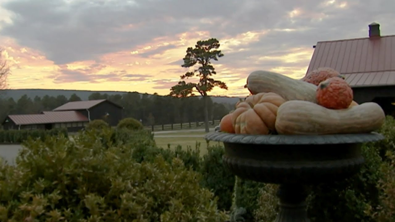 Touring the Moss Mountain Farm | P. Allen Smith Classics