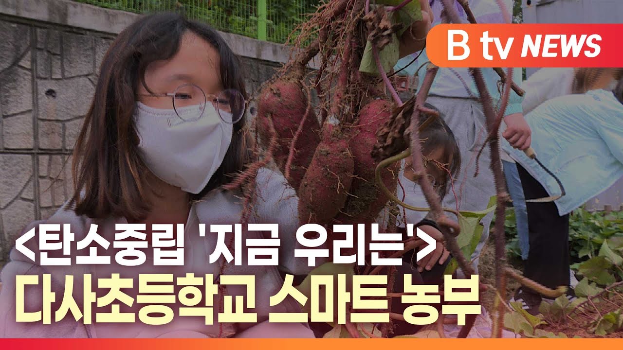 [B tv 대구뉴스]탄소중립 '지금 우리는' 다사초등학교 스마트 농부