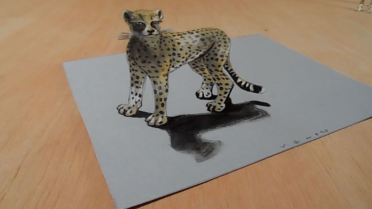 How to Draw 3D Animals - Awesome Cheetah Illusion - Vamos
