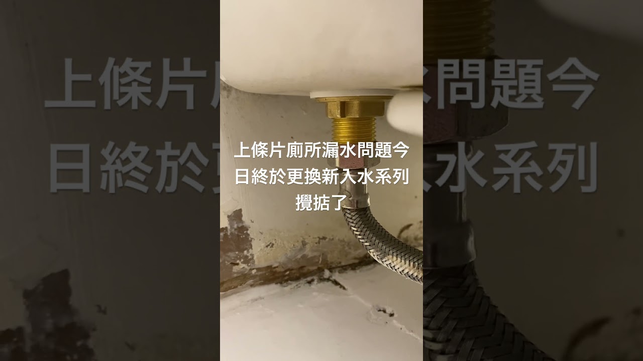 上條片廁所漏水問題今日終於更換新入水系列攪掂了