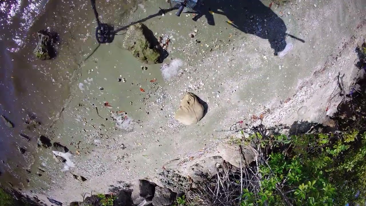 Park detecting.........another crazy find