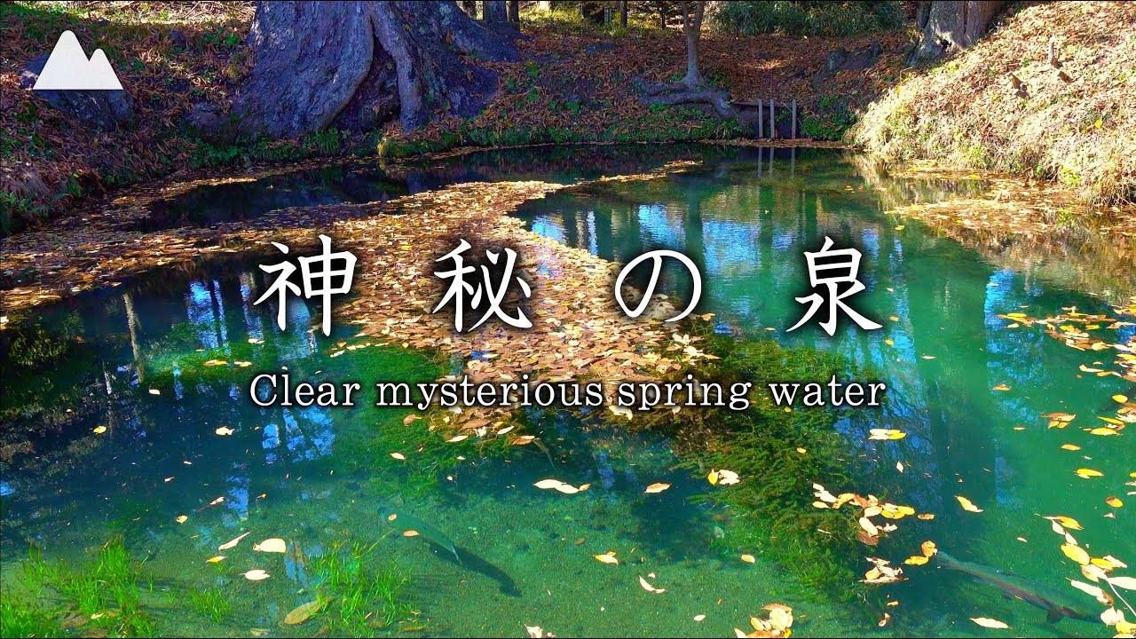 【癒し映像＆音】青く美しい神秘的な泉・湧き水［5時間］