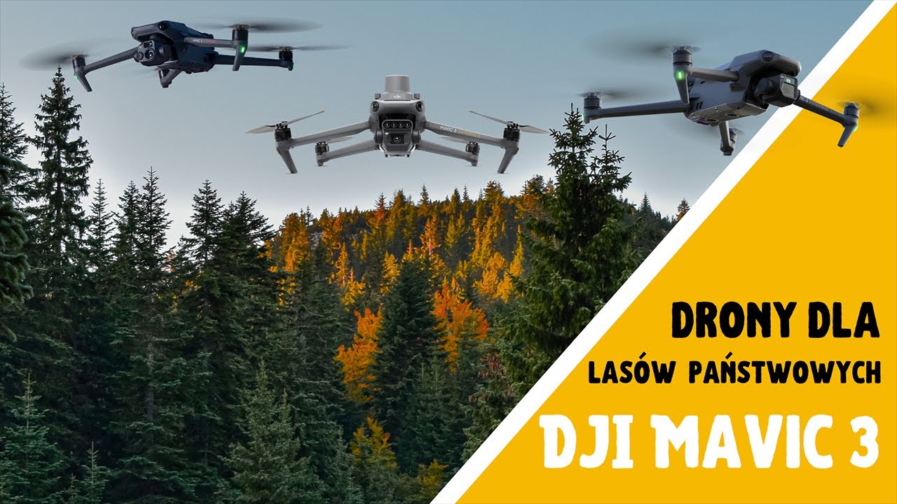 Drony dla Lasów Państwowych - jaki model wybrać?