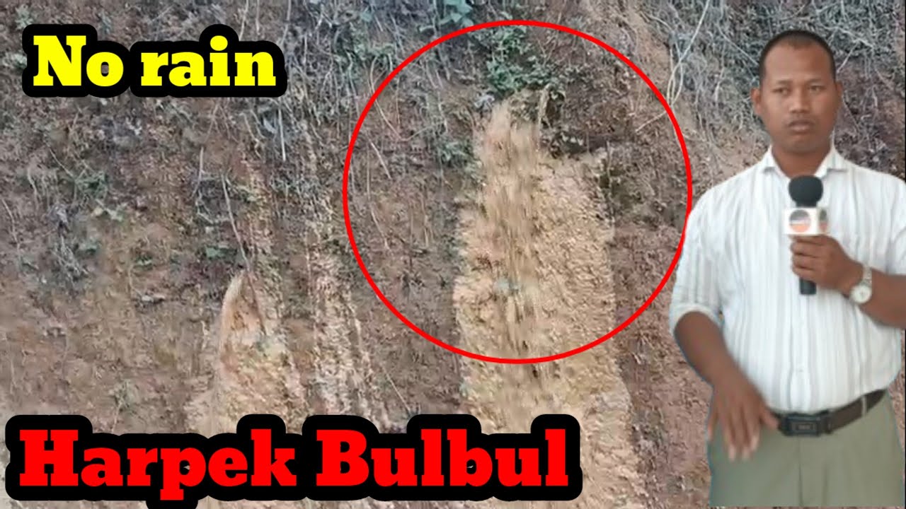 Harpek se bulbul, ha bisingni watwi sara. 