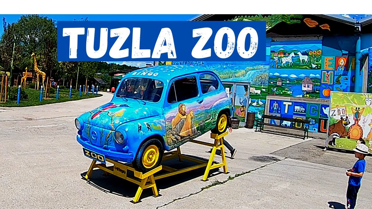 Bingo Zoo in Tuzla (Sicki Brod) Only In Bosnia!! 2021