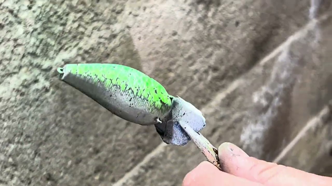 Painting crank baits beginners video #4