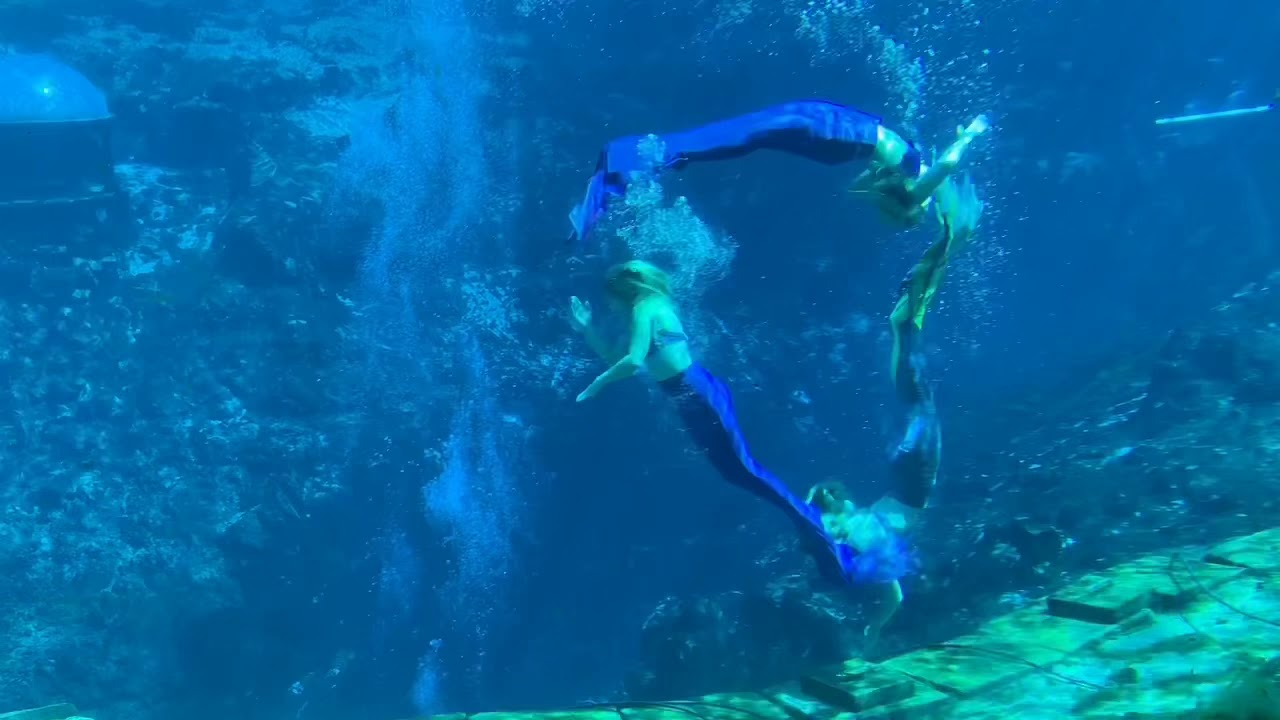 Live little Mermaid show at Weeki Wachee Springs State park, full show