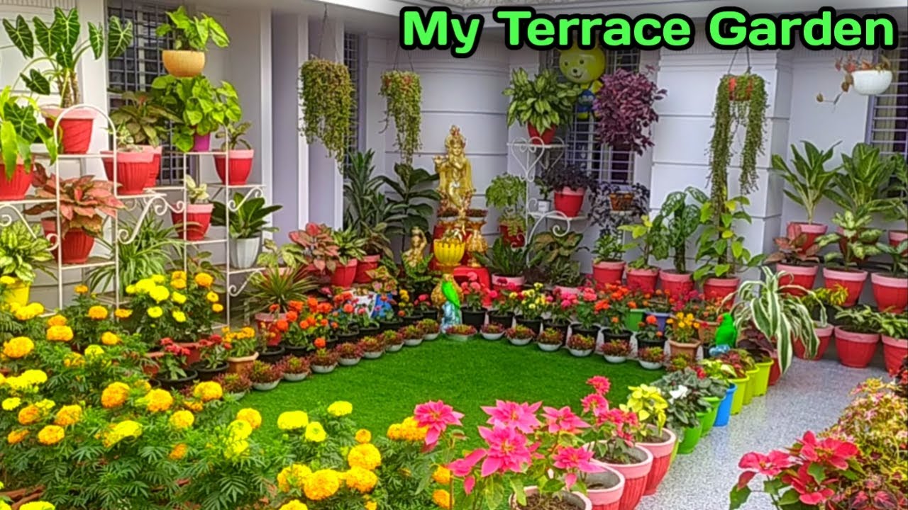 My Terrace Garden Overview