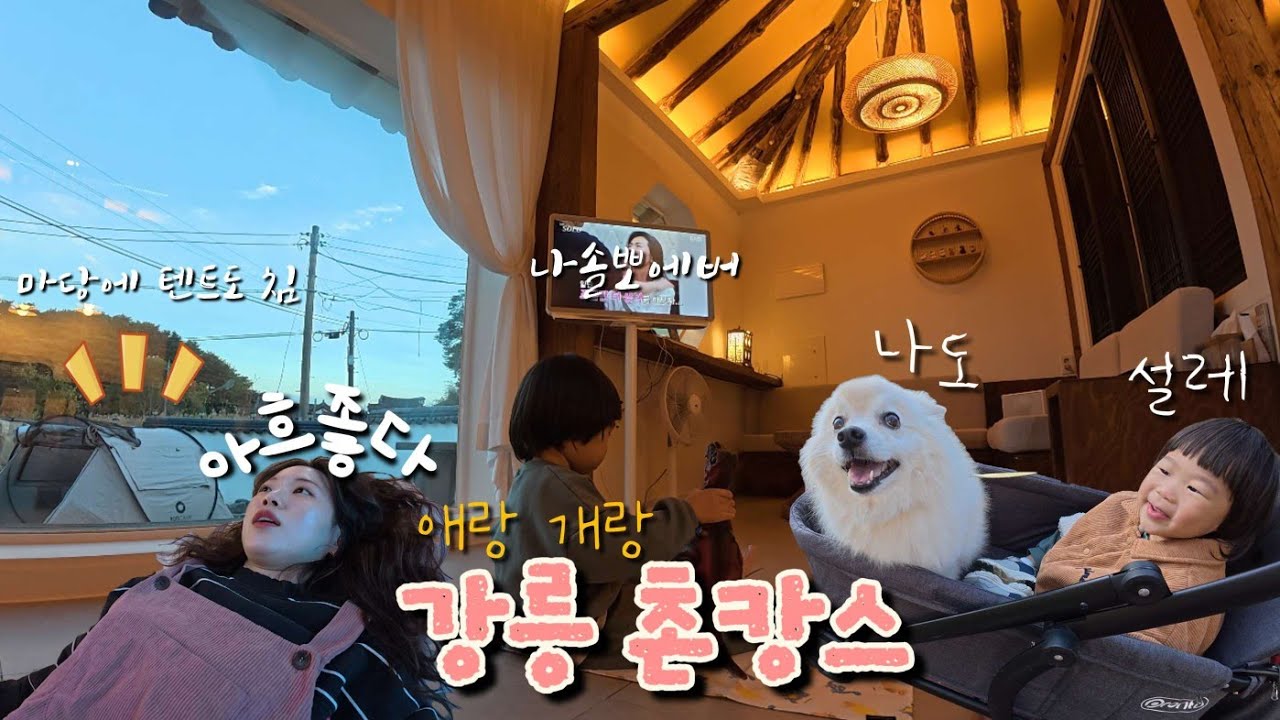 강릉여행1, 아이랑 강아지랑 강릉여행, 40개월 아이랑 여행, 컴페니언 바이 경포, 강릉바다다, 겨울 촌캉스