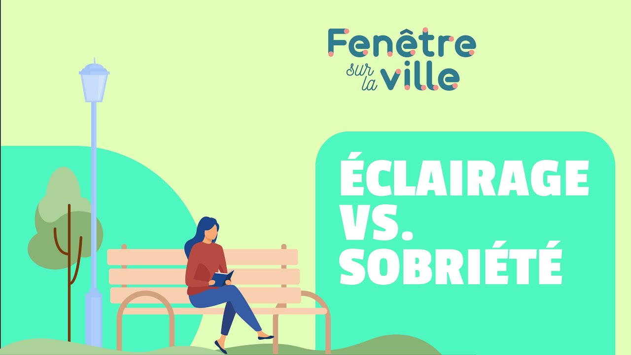 SOBRIÉTÉ ÉNERGÉTIQUE : LA FIN DE L'ÉCLAIRAGE PUBLIC ?