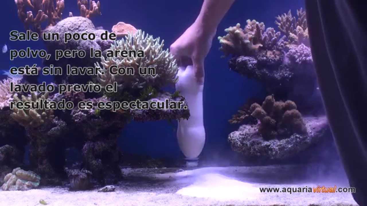 Añadir arena nueva a un acuario