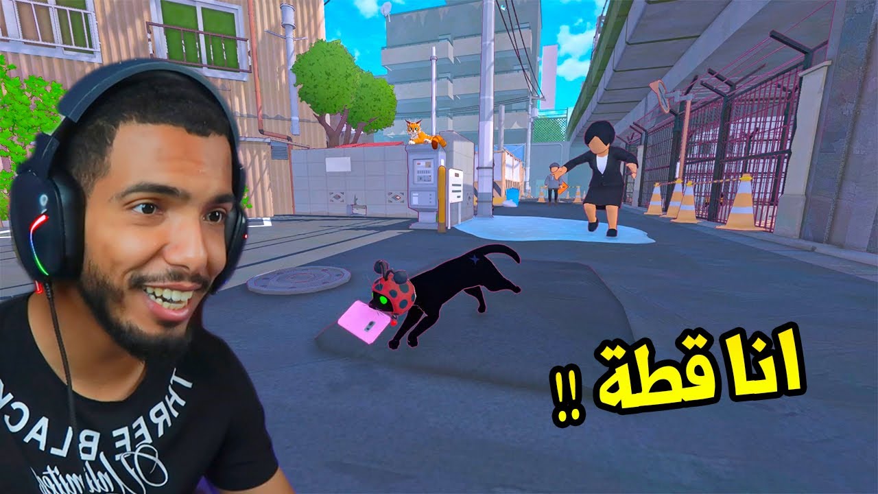 حياة القطة | Little Kitty, Big City