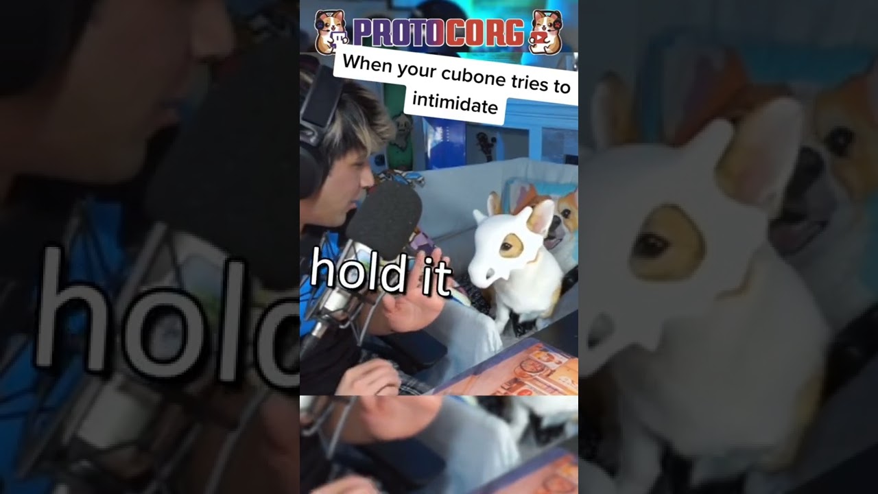 My Cubone Used Intimidate #shorts #corgi #streamer #pokemon #pokemoncosplay