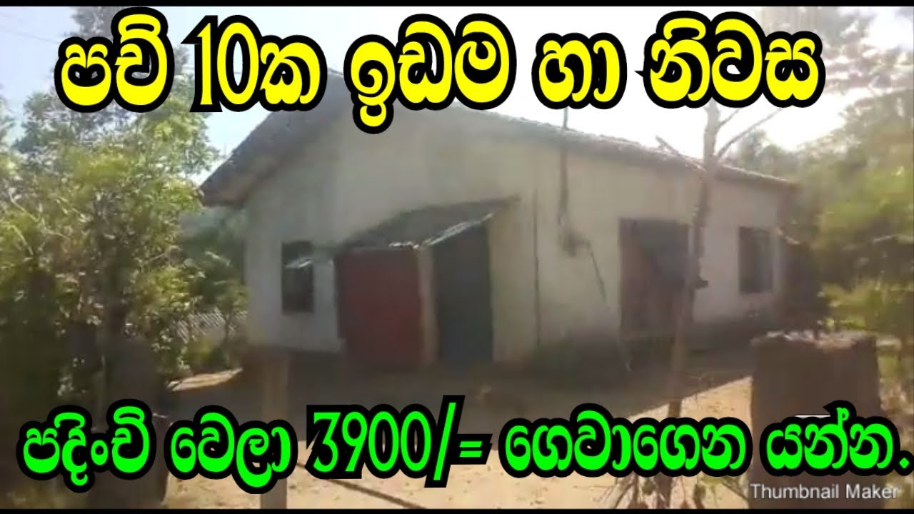 පච් 10 යි නිවසයි ..පදිංචි වෙලා රු 3900 /= ගානේ ගෙවාගෙන යන්න ..HORANA AWATA IDAM NIWASA/PODI MALLI