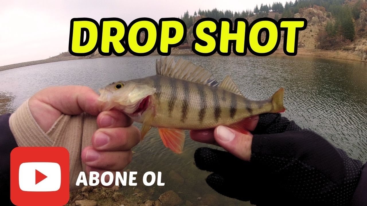 DROP SHOT NEDİR? DROP SHOT TAKIMI NASIL HAZIRLANIR? -DROP SHOT İLE PERCH AVI-
